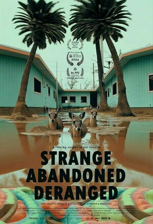 Hiçbir Sey Normal Degil (Strange Abandoned Deranged) (2024)