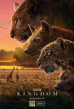 Kingdom (2025 - )