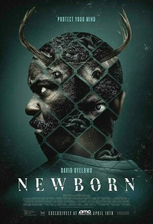 Newborn (2026)