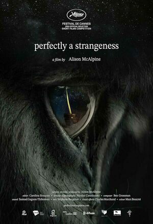 Perfectly a Strangeness (2024)