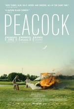 Pfau - Bin ich echt? (Peacock) (2024)