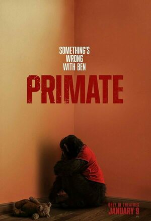 Primat (Primate) (2025)