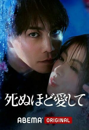 Shinu hodo Ai-shite (2025 - )