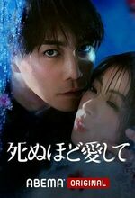 Shinu hodo Ai-shite (2025 - )