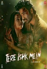 Tere Ishk Mein (2025)
