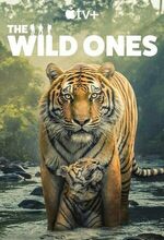 The Wild Ones (2025 - )