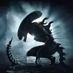 NSC profil fotoğrafı
