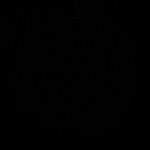 aaaaaaaa profile photo