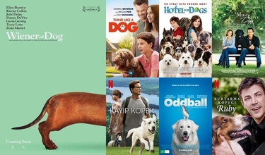 Animals, Our Friends